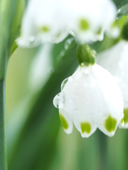 drop　