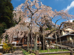 空掴むように