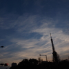 空と東京タワー