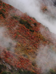 紅山白霧