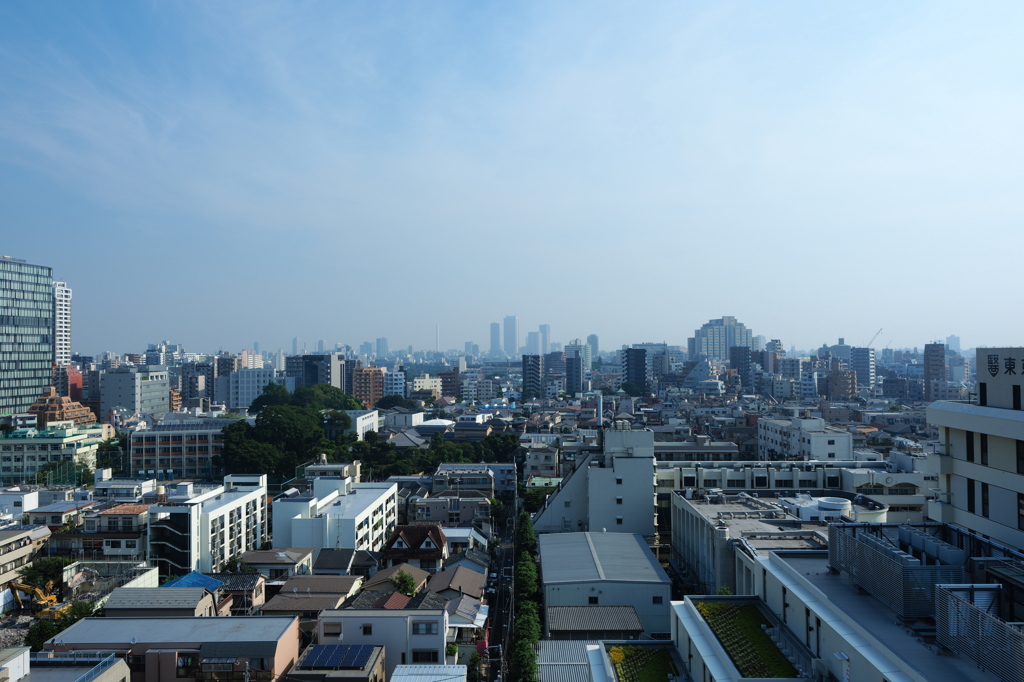 都市の目覚め