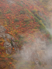 紅岩壁