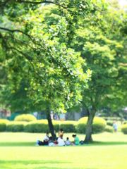 夏の記憶