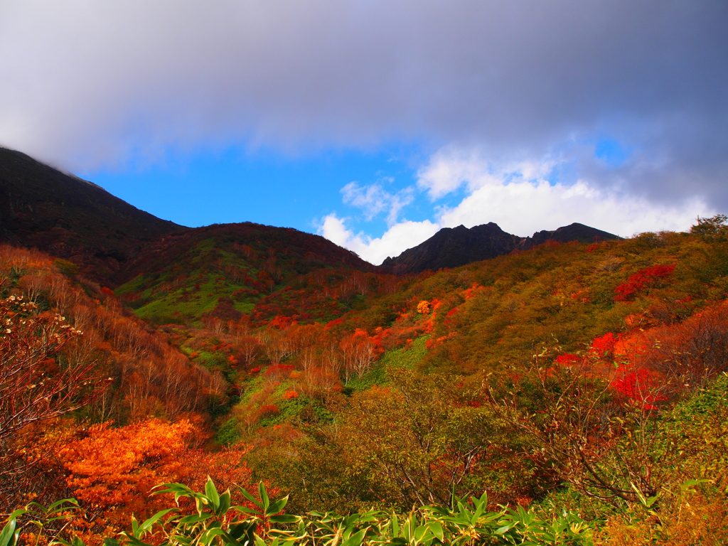 秋色山