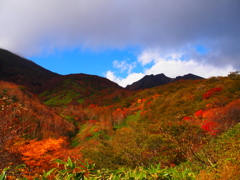 秋色山