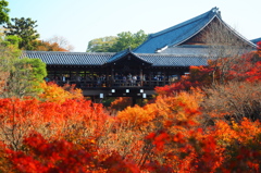 木々、燃えるように