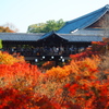 木々、燃えるように