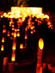 夏の夜、祈り灯して