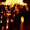 夏の夜、祈り灯して