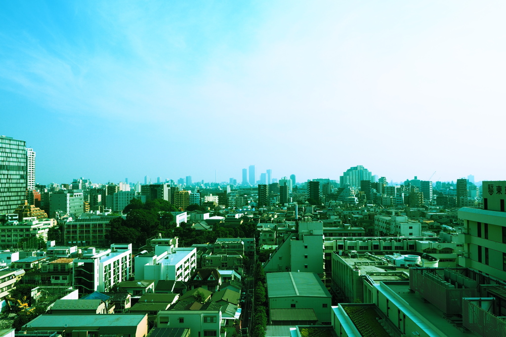 blue　city　