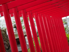 差し込む春