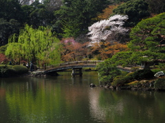 和