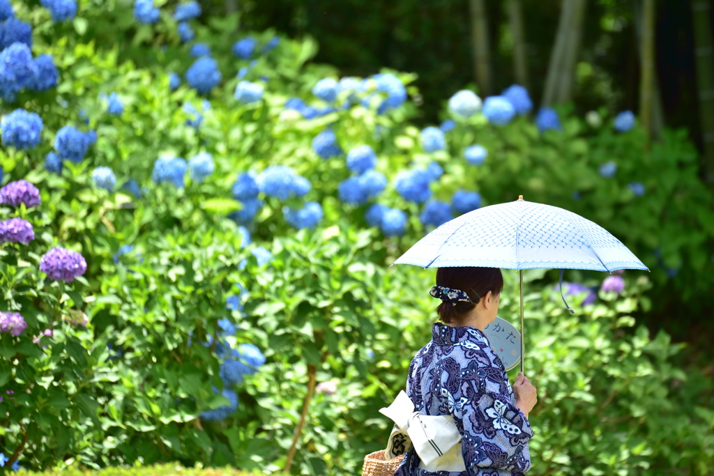 梅雨と初夏の境で