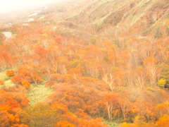 霧中に秋を望む