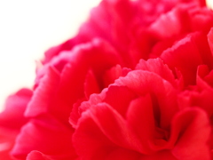 Mother's Day.