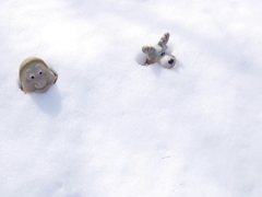 雪原遊泳