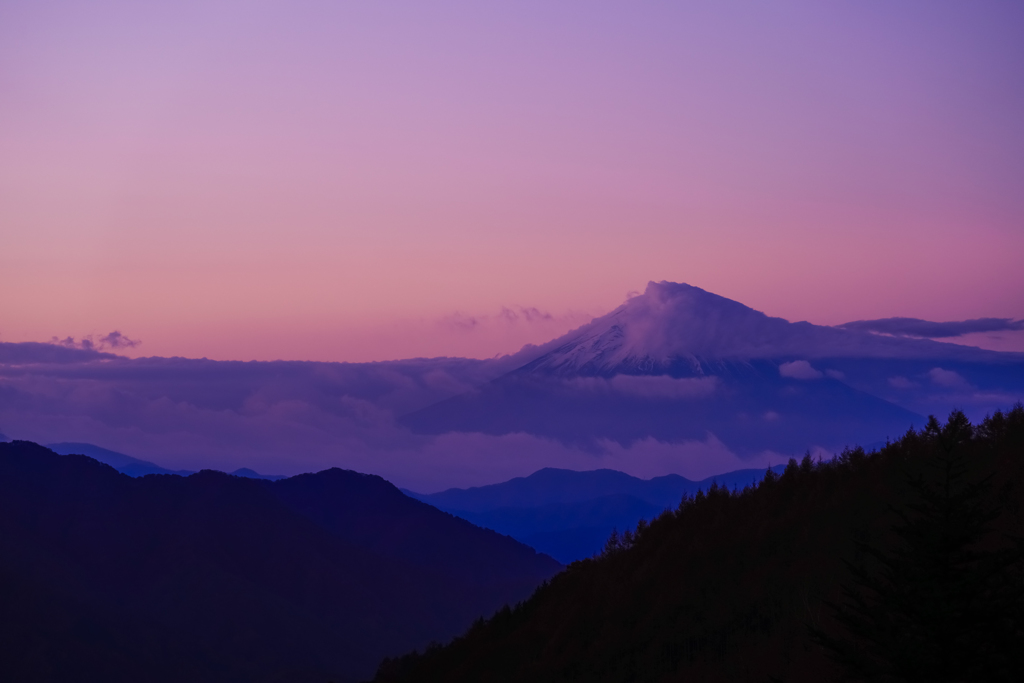 富士山