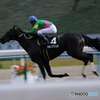 8R 京都競馬場 黄菊賞　武豊単勝一着