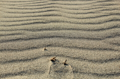 波の砂
