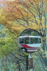 紅葉とバス。