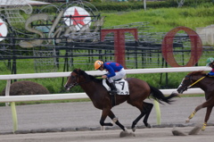3R勝ち馬　テペウ