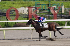 2R　勝ち馬　オーネットエース