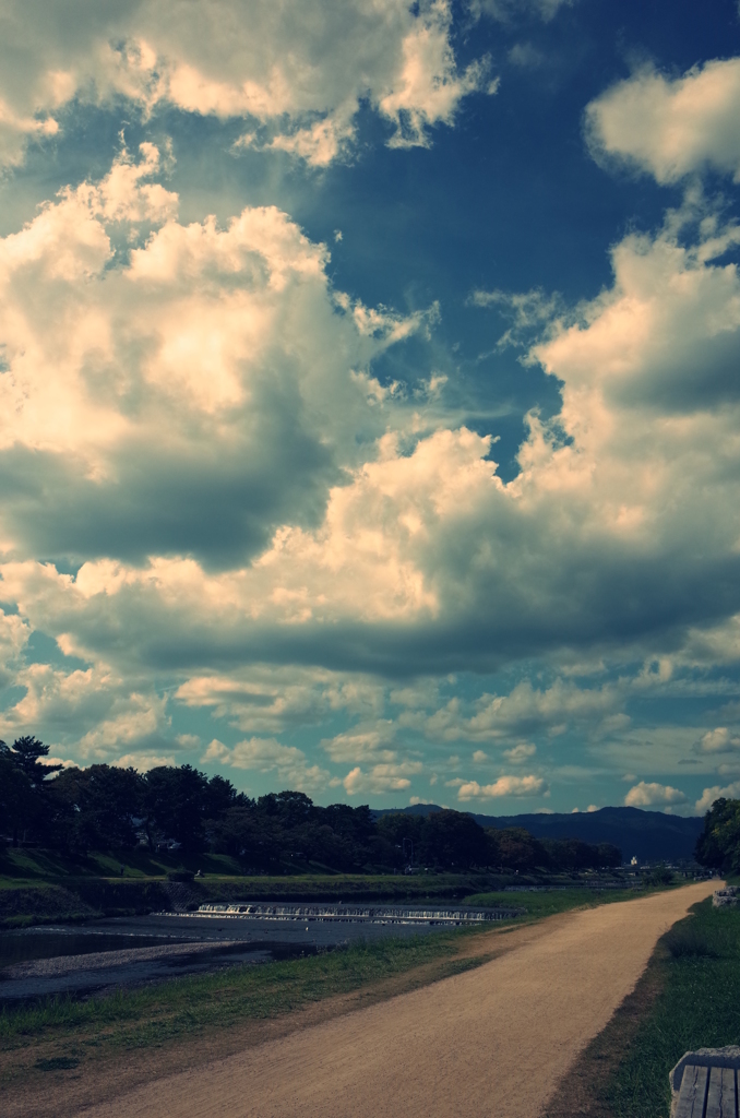 夏の鴨川