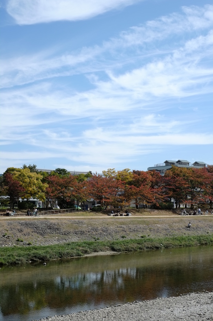 秋の鴨川散歩