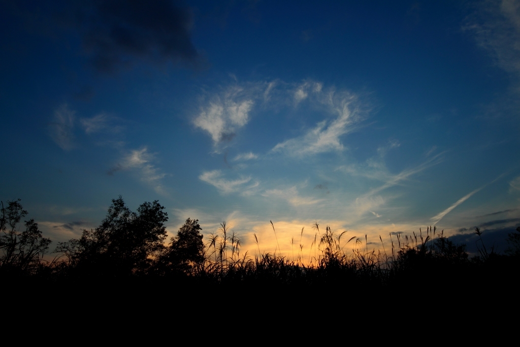 夕空　２