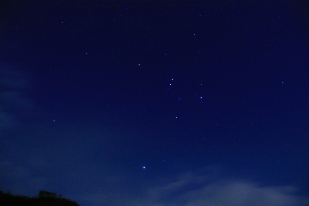Orion