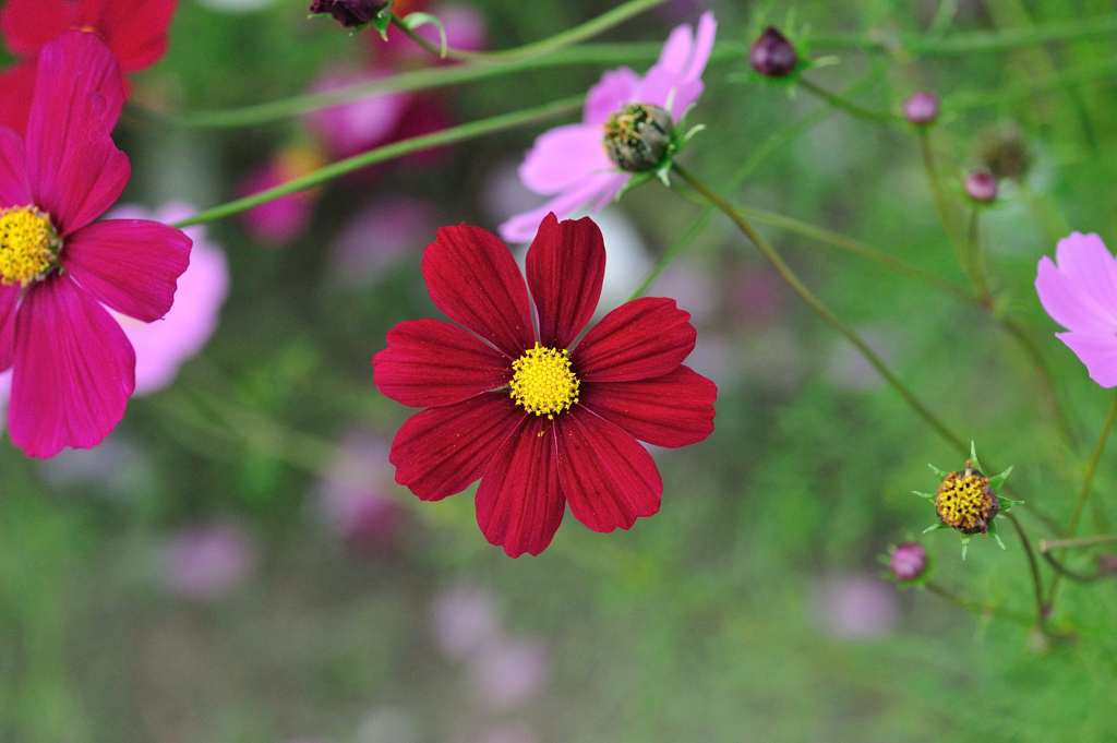 DSC_3569_01
