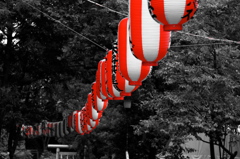 鳩森八幡神社の夏祭り