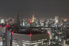 都庁夜景