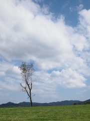 大地