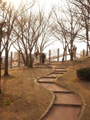 公園を歩く