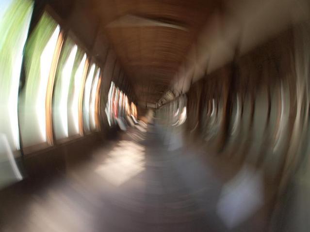 夢の中