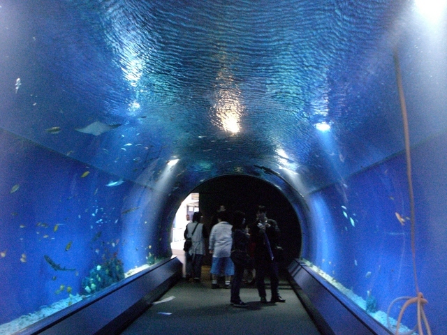 ﾄﾝﾈﾙ