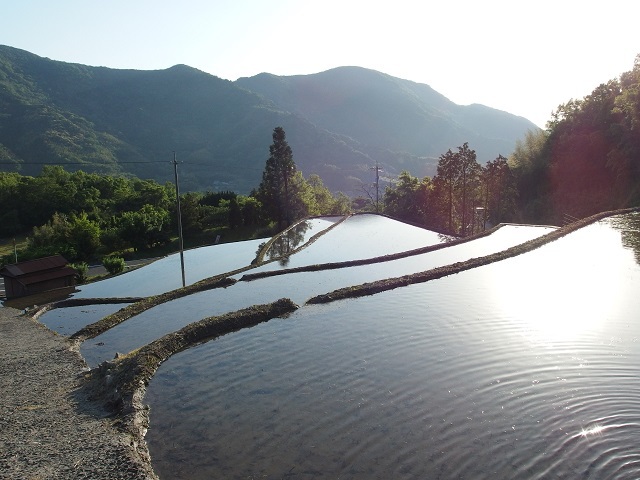 棚田