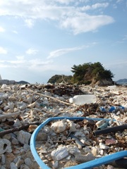 ｺﾞﾐの島