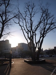 逆光
