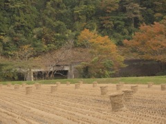 田舎の風景