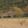 田舎の風景