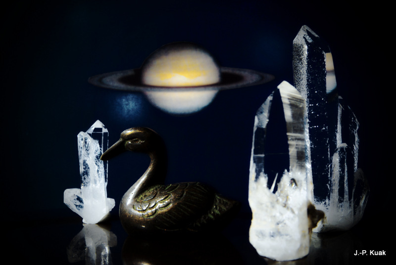 水晶の林