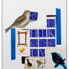 鳥とアルファベット