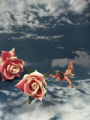 空中の薔薇