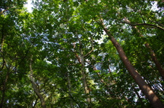 2012/8/2
