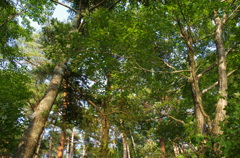2012/8/2