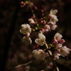 2013/4/15