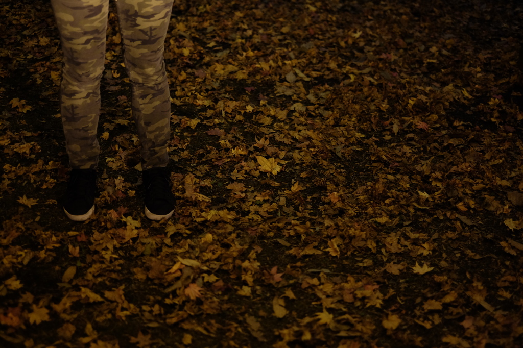 2015/11/20