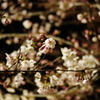 2013/4/14